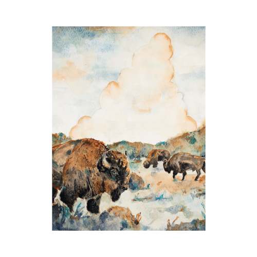 Bison Print