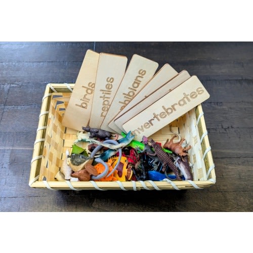 Animal Classification Sorting Set, Montessori Object Classification, Gift for Kids, Reggio Emilia, Teacher Resources