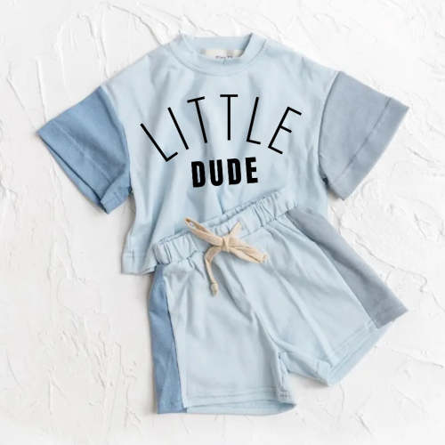Little Dude Baby and Kids cotton color block t-shirt & shorts outfit
