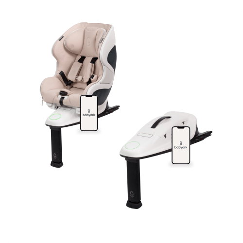 The Bases Bundle