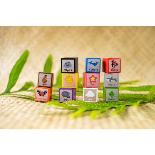Waiho'olu'u Blocks – Itsy Bitsy Keiki LLC