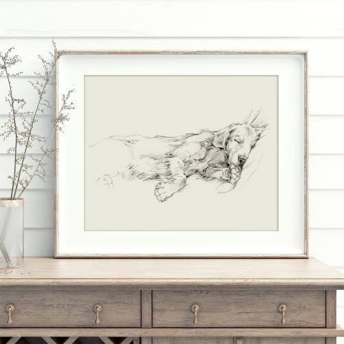 Golden Retriever Sketch Art Print: Elegant Dog Portrait by Ethan Harper