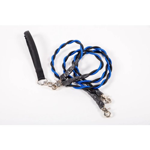 🔥Last Day: 50% OFF!🔥🐕Double Bungee Leash - 1st step training tool