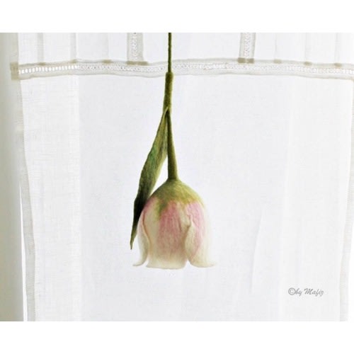 Tulip white pink large flower decoration for the window