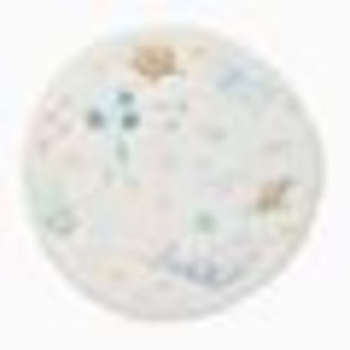 Ocean Swimmers Playmat, 39 Dia, Multi