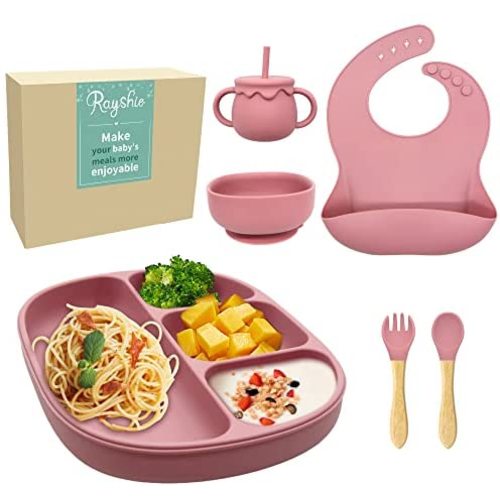 Rayshie Silicone Baby Feeding Supplies 6 in 1, Baby Dishes, Baby Plates for Babies, Baby Utensils 6-12 Months, Silicone Bibs for Babies, Straw Cup, Baby Led Weaning Supplies, BPA Free