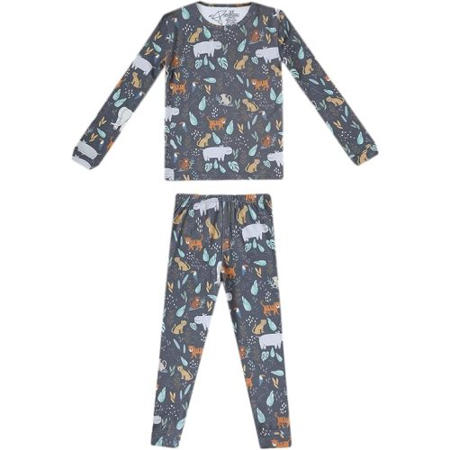 Copper Pearl Two Piece Long Sleeve Toddler Pajamas PJ Sets for Boys and Girls - Adorable Pattern Pajamas, Breathable Fabric to Keep Cool While Sleeping, Sizes 12 Months to 5T - Bengal
