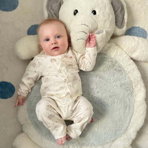 little peanut organic cotton magnetic fuss free coverall
