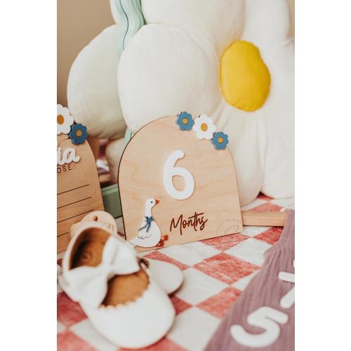 Goose Baby Interchangeable Milestones  | Coquette Goose Baby Announcement | Baby Shower Gift | Fresh 48 Baby Photo Prop | Floral Baby Sign |
