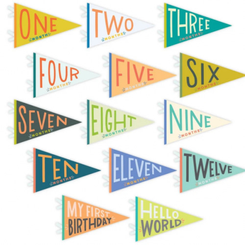 Little Kaleidoscope Petit Milestone Pennants