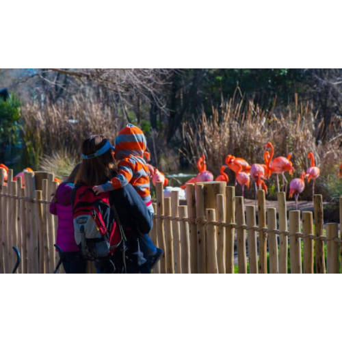 Member Duo | Sacramento Zoo Membership