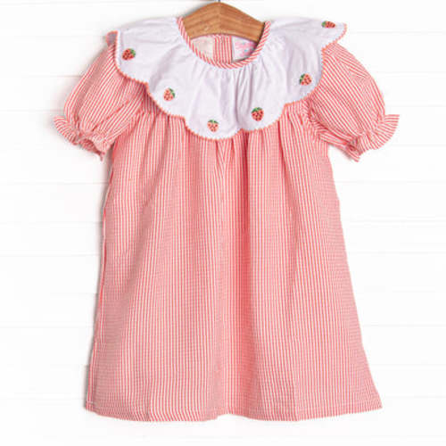 Strawberry Jam Stripes Embroidered Dress, Red – Stitchy Fish