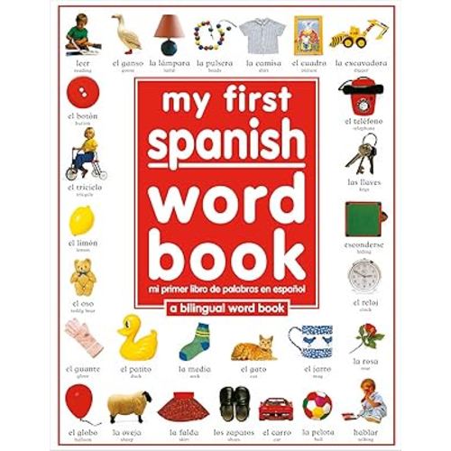 My 1st Spanish Word Book / Mi Primer Libro De Palabras EnEspanol: A Bilingual Word Book