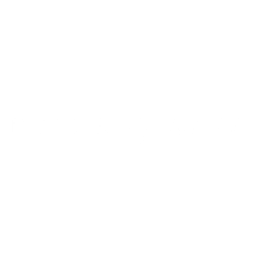 Compostable Beach Toy Set – roguewavetoys