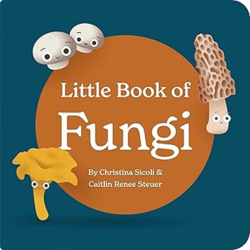 Little Book of Fungi Board Book for Babies and Toddlers Exploring Mushroom Facts and Clever Rhymes Classroom Learning Resource Baby 0-12 Months Ages 1-4 by Chunky Deli