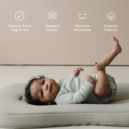 Lounger Curve | Birch