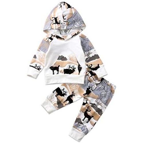 2Pcs Baby Boys Hoodie Tops Pants Set Dinosaur Deer Print Sweatsuit Fall Winter Outfits