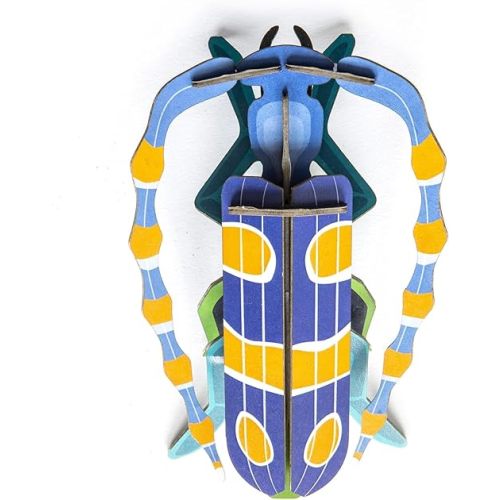 STUDIO ROOF, Wall Art Beetles, Rosalia Beetle, Eco-Friendly & Creative Gift