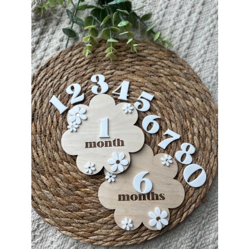 Daisy Milestone Markers | Wooden Milestone Cards | Baby Shower Gift | Baby Photo Prop