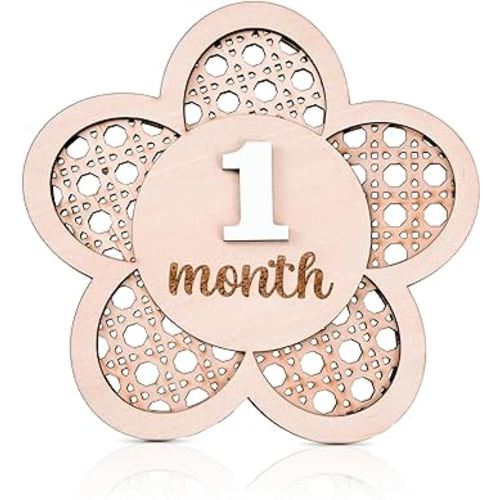Baby Monthly Milestone, Wooden Baby Milestone Signs, Monthly Milestone Wood Discs, Baby Milestone Discs, Baby Photo Props Cards Interchangeable Number Set of 12 for Baby Growth Recording (Lattice)