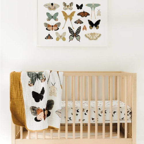 Butterfly Collector Quilt