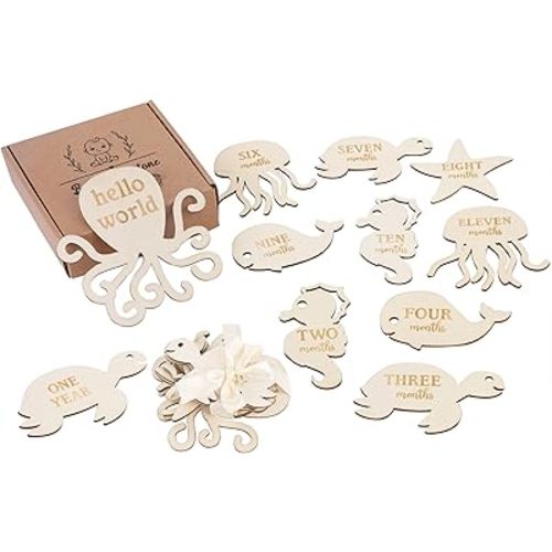 Sursurprise Under The Sea Milestone Cards, Baby Monthly Milestone Markers, Wooden Milestone Cards, 13PCS Ocaen Animals Double Sided Hello World Newborn 1-12 Months Circles Discs Signs Props