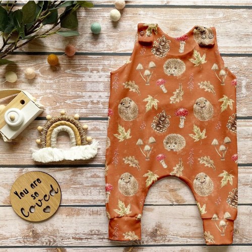 Autumn Hedgehog Romper, Hedgehog Print Stretch Jersey Romper, Gender Neutral, Baby Toddler Full Leg Romper, Autumn Leaves, Pine Cones