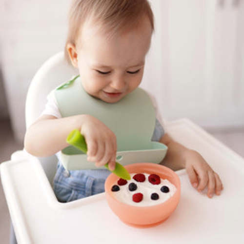 BPA-free Silicone Baby Suction Bowls with Lids