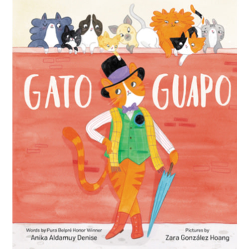 Gato Guapo book by Zara Gonzalez Hoang