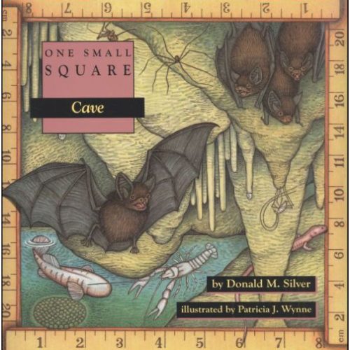One Small Square: Cave