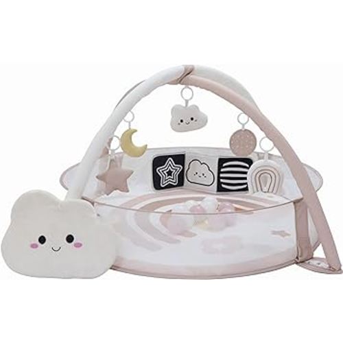 6-in-1 XL Baby Activity Center & Ball Pit, Baby PlayMat & Play Gym, Sensory Exploration and Motor Skill Development Toys, High Contrast Book, Balls Included (Blush)
