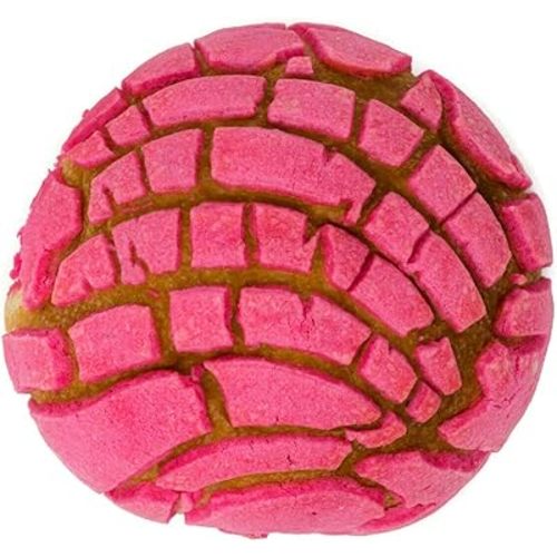 Concha Blanket | Pan Dulce Throw Blanket | Foodie Funny Blanket | Pink Concha Round Blanket
