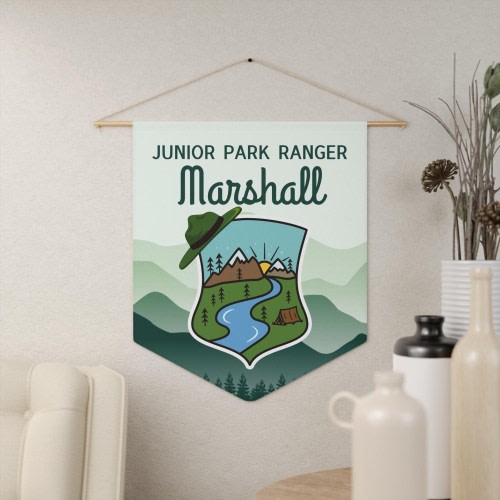 CUSTOM National Park Nursery Sign, National Park Kids Wall Sign, Junior Park Ranger, Custom Name Bedroom Sign, Baby Name Sign, Nursery Gift