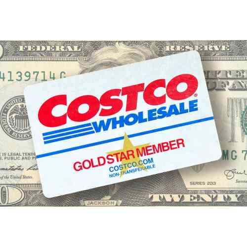 Costco Membership (One Year)