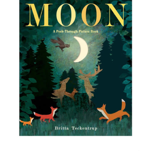 Moon: A Peek-Through Picture Book