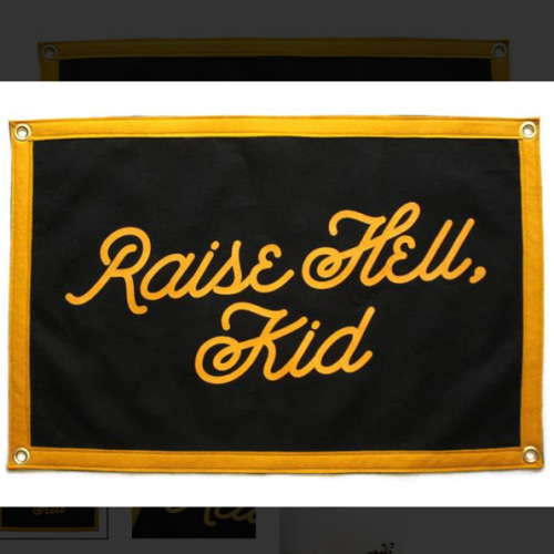 Raise Hell Kid Mini Banner / Camp Flag - The Simple Man