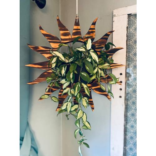 Sun Plant Hanger Plant Stand Plant Hanger Plant Shelf Wood - Etsy