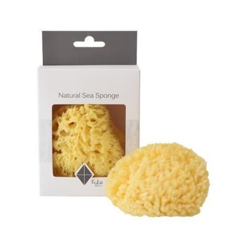 Natural Sea Sponge