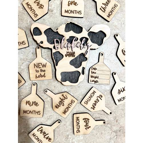 coming home announcement and monthly updates!