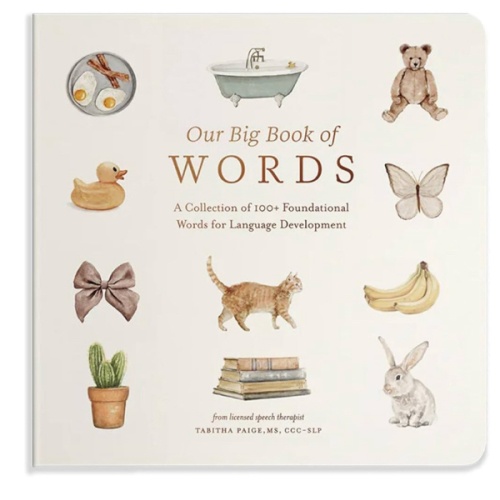 Our Big Book of First Words: A Collection of 100+ Foundational Words for Language Development (Tabitha Paige Children's Book Series)