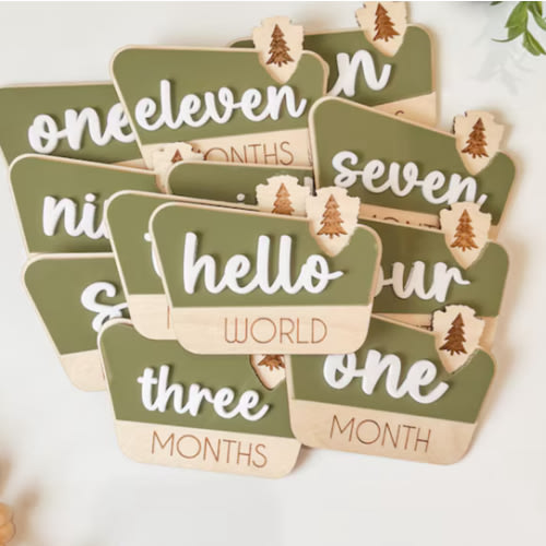 National Park Monthly Milestone Discs For Baby Photos