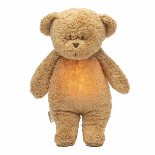 Humming Bear with Lamp
