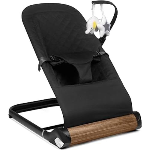 Baby Bouncer Chair - Comfortable Support for Your Little One's Blissful Moments (Normal, Black)
