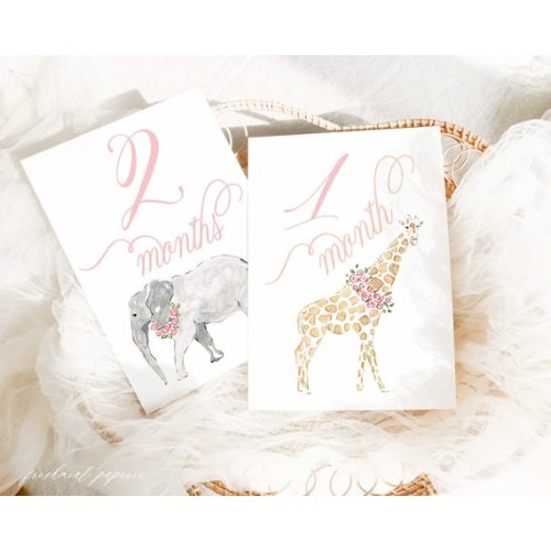 Girl Milestone Cards Milestone Cards Stork Baby Gift - Etsy