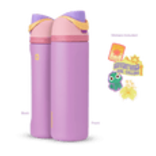 Disney Princess Collection - Owala
