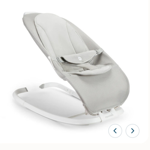 Electric Bouncer & Rocker