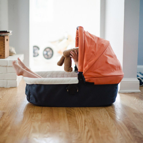 Minted Celebrate Baby Giveaway