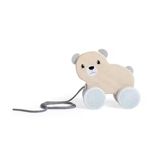 Bear Pull Along