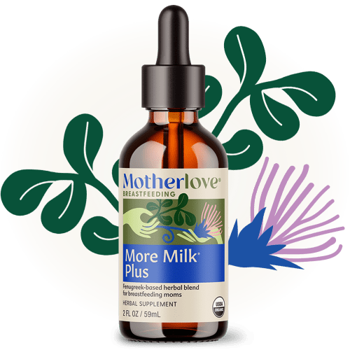 More Milk Plus® Tincture | Motherlove – Motherlove Herbal Company