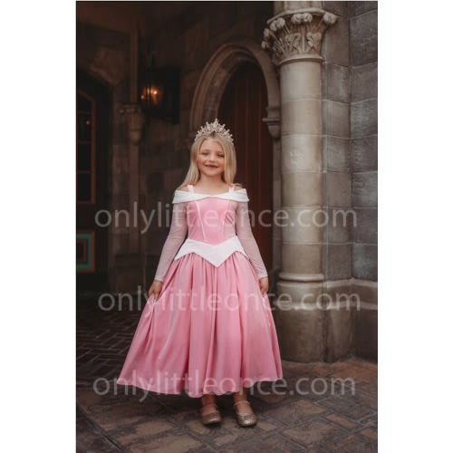 Disney Sleeping Beauty Dress Up - size 2